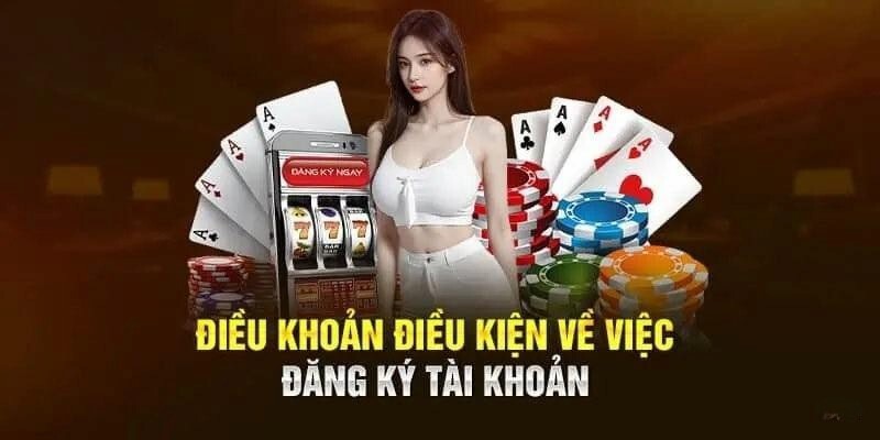 Hội viên SHBET phải đáp ứng đủ các chỉ tiêu đầu vào